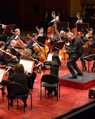 Alexis Jade and the Gemstones