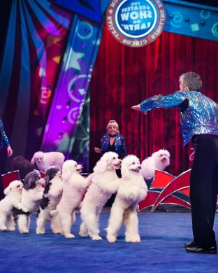 All American Circus event