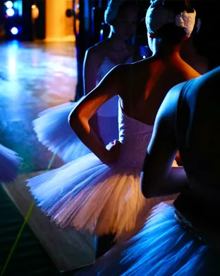 Ballet of Lights: Sleeping Beauty in a Sparkling Show
