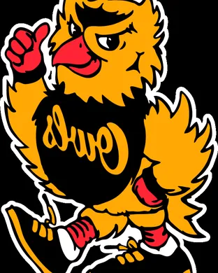 Kennesaw State Owls