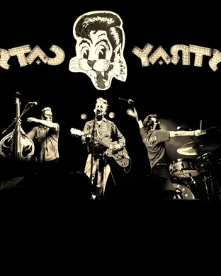 Stray Cats